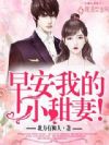 早安,我的小甜妻!